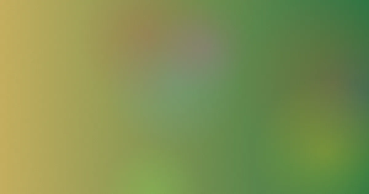 黄鹤楼雪之景值得吗？五步算清